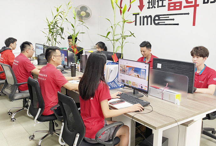 Professional team